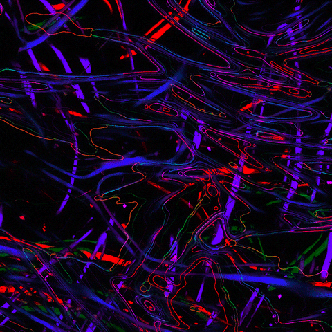 Loop Rainbow GIF by Toke