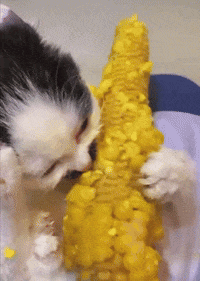 GIF by Martin