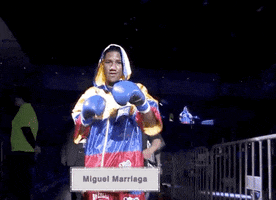 toprank fight fighting espn fighters GIF