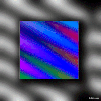 GIF by Michel Poisson