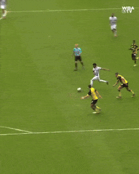 West Brom Football GIF by West Bromwich Albion