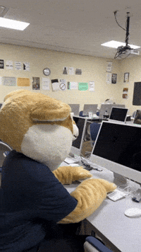 Computer Working GIF by Mount Vernon Nazarene University