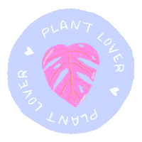 marionbrouillon plant monstera marionbrouillon Sticker