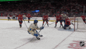 Happy St Louis GIF by NHL