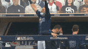 Major League Baseball Sport GIF by MLB