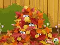 playing outside hide and seek GIF by PBS KIDS