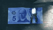 Five Dollars Canadian Money GIF by constant