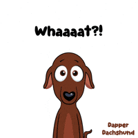 For Real Wow GIF by VeeFriends