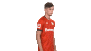 Posing Bayer 04 Sticker by Bundesliga