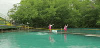 florida GIF