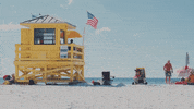 florida GIF