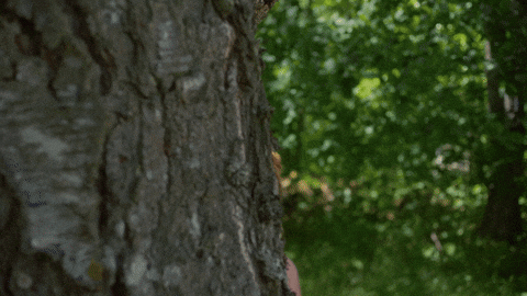 Comedy What GIF by Yle Areena