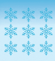 GIF by Greater Rockford Auto Auction