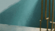 Snap Fotograf GIF by Zoki Poki