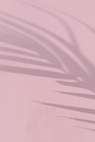 blakeottinger giphyupload GIF