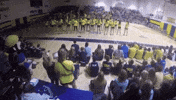 victor cheerleaders GIF by Laurentian University