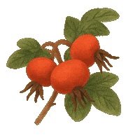 Rose Trail Sticker