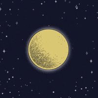 GIF by Sanctuary