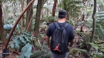 Hawaiian Vlogger Climbs Into Volcanic Fissure to Rescue Lost Dog