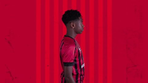 Football Celebrating GIF by AFC Bournemouth