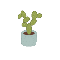 Succulent Sticker