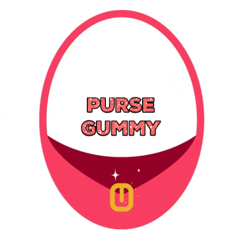 pursegummy bag handbag purse purse gummy GIF