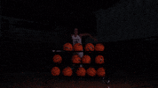 Jump GIF by Tommie Athletics