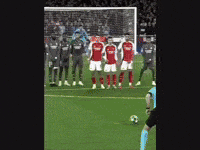 Arsenal Rice GIF