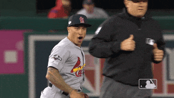 GIF by MLB