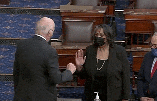 Sonceria Ann Berry GIF by GIPHY News