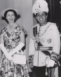 الملك فيصل GIF