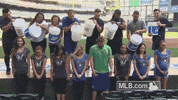 mil GIF by MLB