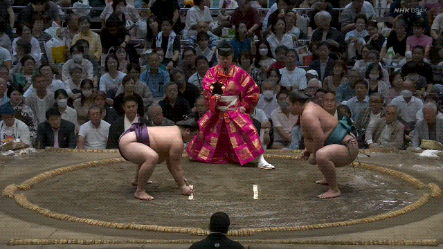 TZ85 giphyupload sumo 2023 aki basho GIF