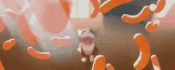 dog puppy GIF by Disney