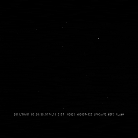 black and white wow GIF