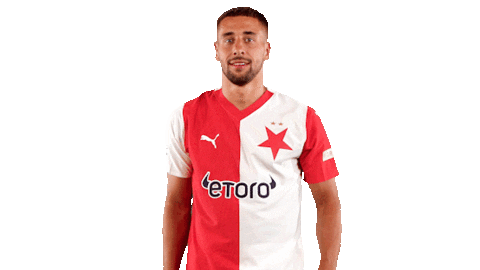 Football Soccer Sticker by SK Slavia Praha