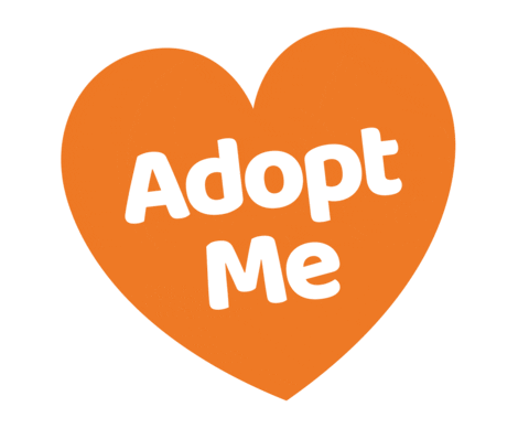 Sticker by Furkids Animal Rescue and Shelters