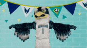 Homecoming Seahawk GIF by UNCW Alumni Association