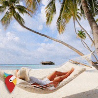 holidaypirates travel beautiful adventure cinemagraph GIF