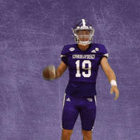 Football Wesleyan GIF by KWC Panthers