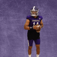 Football Wesleyan GIF by KWC Panthers