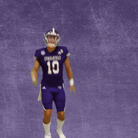 Football Wesleyan GIF by KWC Panthers