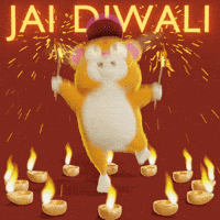 Festival Of Lights Hamster GIF by Grind