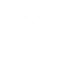 Iconic Cz Sticker by Iconic Institute