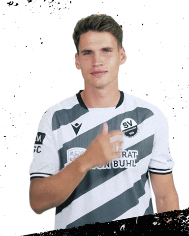 3Liga GIF by SV Sandhausen