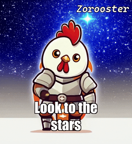 Stars Night GIF by Zorooster