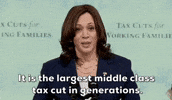 Kamala Harris GIF by GIPHY News