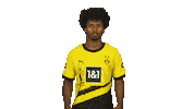 Borussia Dortmund Love Sticker by Bundesliga