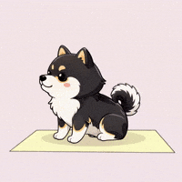 Gym Cute Dog GIF by Manyu