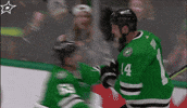 Woo Hoo National Hockey League GIF by Dallas Stars